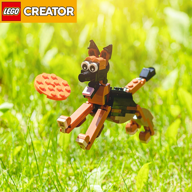 LEGO® Creator