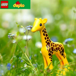 LEGO® DUPLO